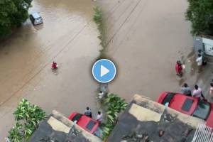 Zomato agent delivered food in knee deep water