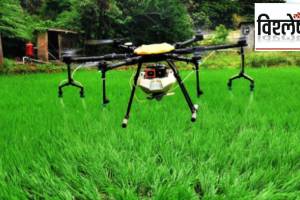 Digital Revolution in Indian Agriculture