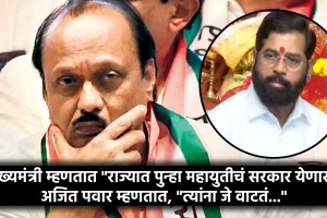 ajit pawar on mahayuti in assembly elections 2024