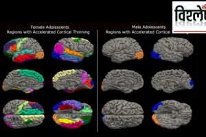 brain development after corona