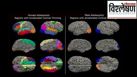 brain development after corona