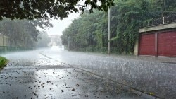 Maharashtra Rain News: राज्यभरात मेघगर्जनेसह कोसळधारा जाणून घ्या, राज्यभरातील पावसाची स्थिती आणि इशारे