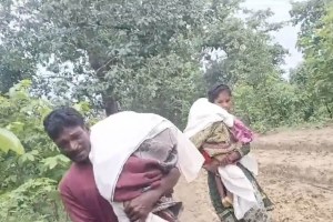 gadchiroli dead bodies of children