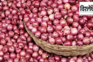 onion export duty marathi news