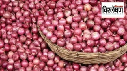 onion export duty marathi news