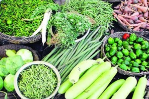 thane vegetable prices marathi news