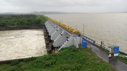 jayakwadi dam marathi news