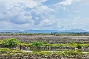 1200 acre land near vadhvan port