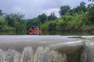 buldhana person drowned