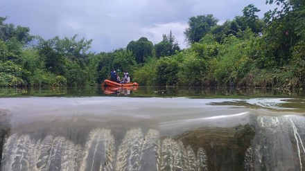 buldhana person drowned