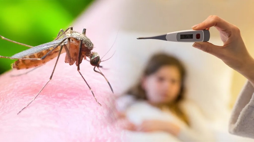 dengue malaria