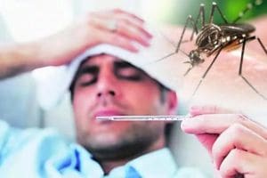 In Pune the number of chikunguniya patients has doubled with dengue