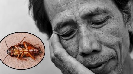 chinese man inhales cockroach