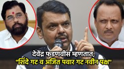 Devendra Fadnavis: देवेंद्र फडणवीस म्हणतात, “शिंदे गट, अजित पवार गट नवे पक्ष”; लोकसभेत ‘या’ बाबतीत कामगिरी वाईट झाल्याची कबुली!