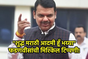 devendra fadnavis funny comment