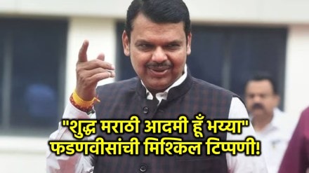 devendra fadnavis funny comment