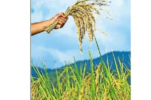 mpsc Mantra Agriculture Component Syllabus