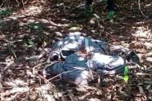 found human skull in the forest of Khed Bhoste Ghat