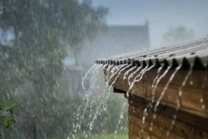 Heavy rain in Miraj taluka sangli