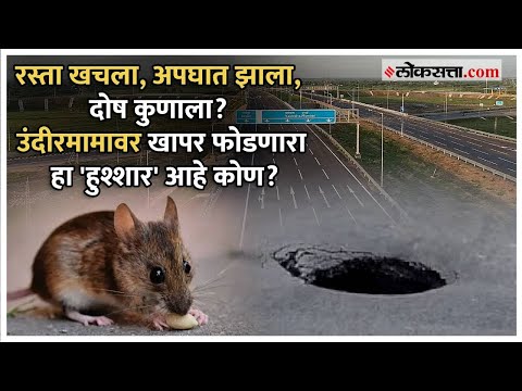  उंदरामुळे खचला एक्सप्रेसवे; कंत्राटदार कंपनीच्या कर्मचाऱ्याचा जावई शोध!