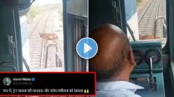 गायी रेल्वे रुळ ओलांडणार तितक्यात भरधाव ट्रेन आली अन्…; Video तील लोको पायलटच्या ‘त्या’ कृतीने जिंकली लोकांची मनं