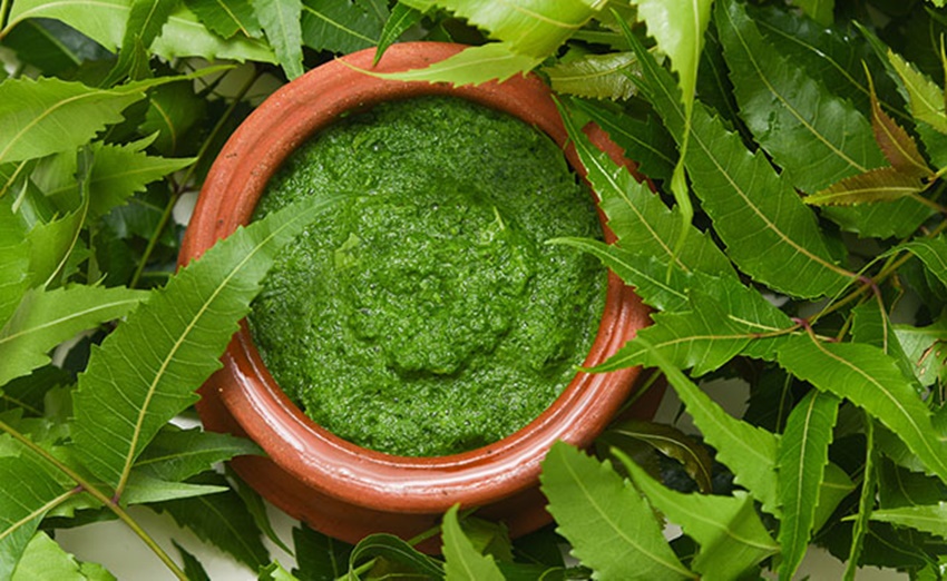 neem-leaves-benefits