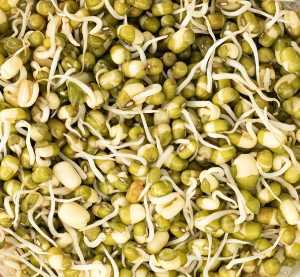 Mung bean for neurological health