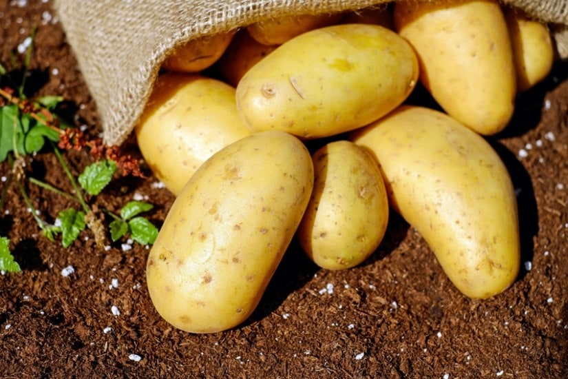 health benefits of potatoes