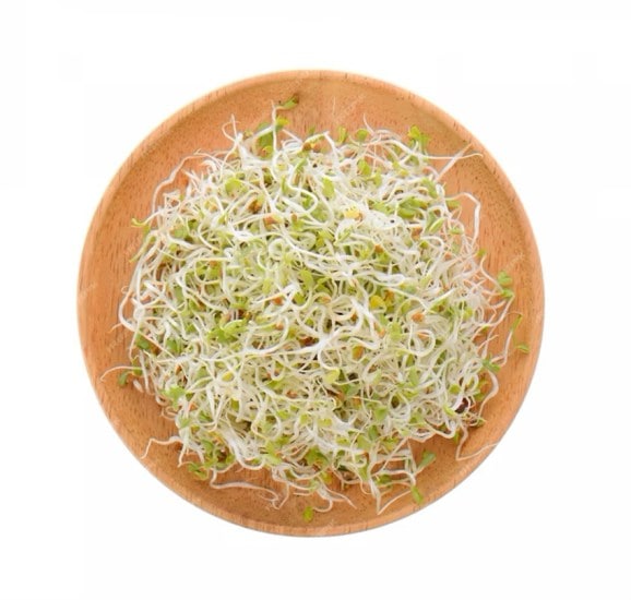 Benefits of Sprouts Salad