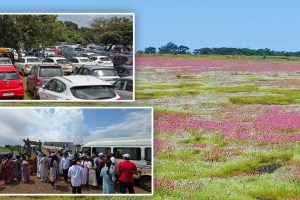 on Kaas Plateau rush of tourists