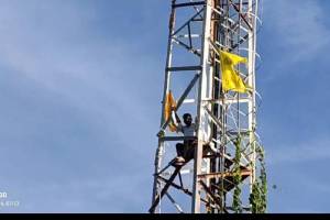 To support hunger strike Dhangar community member climbed mobile tower