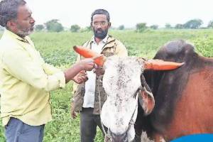 मनुष्यबळाची कमतरता आणि हवामान बदल या दोन समस्यांवर उत्तर शोधल्याशिवाय मराठवाड्याचा सर्वांगीण विकास होणार नाही