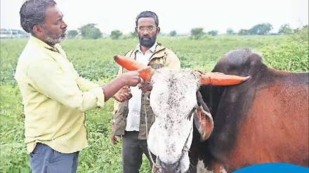 मनुष्यबळाची कमतरता आणि हवामान बदल या दोन समस्यांवर उत्तर शोधल्याशिवाय मराठवाड्याचा सर्वांगीण विकास होणार नाही