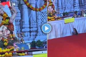 Ganeshotsav 2024 mushak visits Ganesh pandal and pray with Folded Hands ate Ganapati bappa Modak viral video