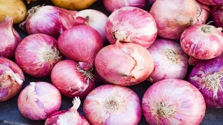 Onion prices collapsed, Onion, NAFED,