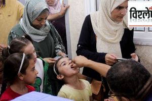 polio cases rising in afganistan