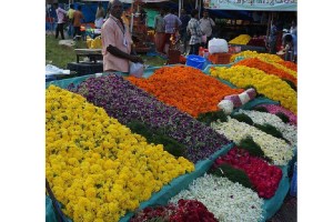 sataa flower market