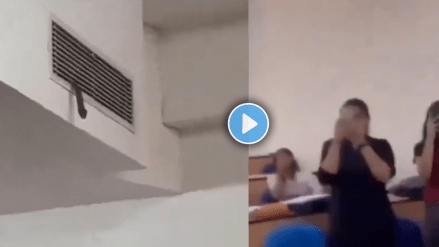 snake enters in classroom through ac vent viral video