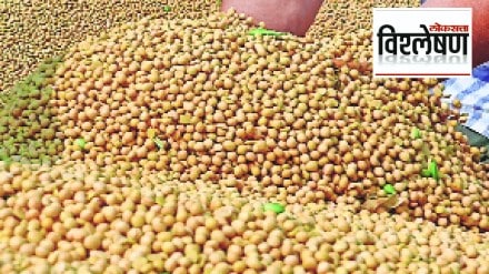 Loksatta explained Will the rise in soybean prices last the season