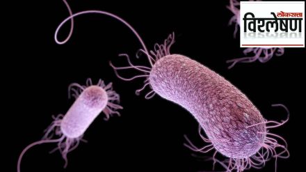 superbugs 4 million death till 2050