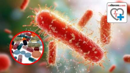 superbugs could kill nearly 40 million people