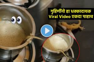 lizard viral video in marathi