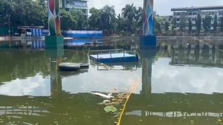 ganesha devotee drowned in the lake during immersion at virar