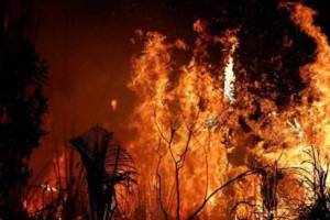 loksatta kutuhal artificial intelligence for wildfire prediction