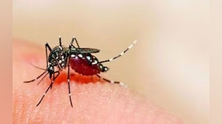 5 Zika virus patients died in Pune Print news