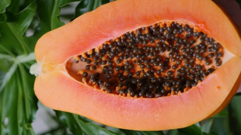 Health Benefits of Papaya Leaf Water