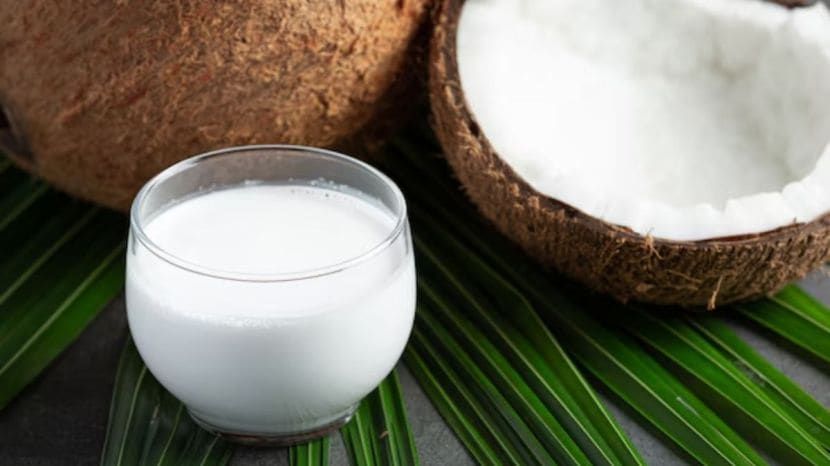  5 amazing coconut milk benefits for skin hair and health know easy steps to make it at home