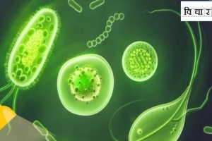 Why antimicrobial resistance is a major challenge facing the healthcare sector