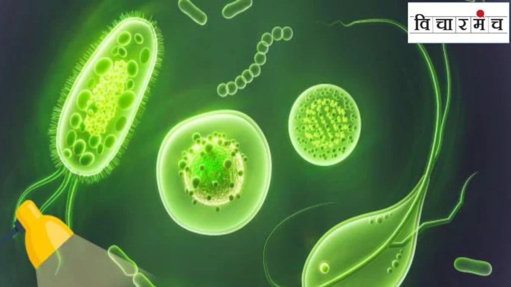 Why antimicrobial resistance is a major challenge facing the healthcare sector