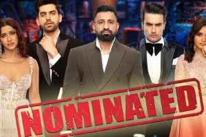 Bigg Boss 18 avinash Mishra rajat dalal muskan bamne nyra Banerjee Vivian dsena nominated